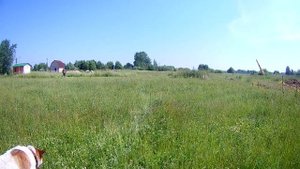 Внезапная послерабочая поездочка.