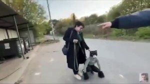 Квадробер