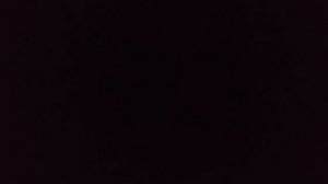 Роберт Брюс. Астральная динамика. Часть 2