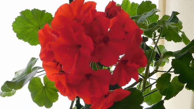 The Science of Getting Rich / Chapter 9 смотреть онлайн