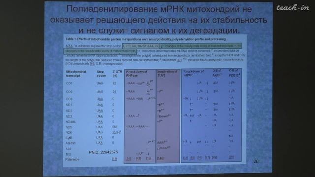 Зиновкина Л. А. - Молекулярная биология митохондрий - 7. Процессинг митохондриальных РНК