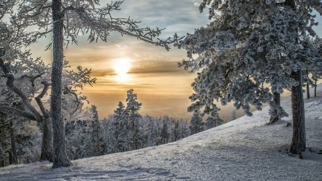 ЖИЗНЬ НА НОВОЙ ЗЕМЛЕ (ПРОГРАММА РОБОТИЗАЦИИ НАСЕЛЕНИЯ) смотреть онлайн