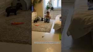 Тиндельманн. Тест Фишера-Волхарда