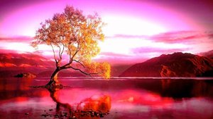 ЕЛЕНА РЕРИХ О ВЕНЕРЕ.