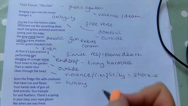 Analysis of the Gun by Vicki Feaver смотреть онлайн