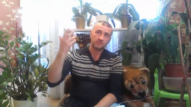 Сатсанг онлайн "Ясність" Іван Дригало смотреть онлайн