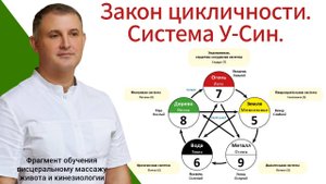Закон цикличности. Система У-Син.