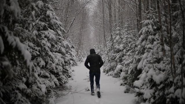 Steve Skafte - Teach Me to Prey смотреть онлайн