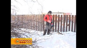 Уборка после обрезки сучьев