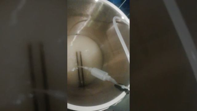 Какой не быстрый процесс перелива браги из бака в куб. Новое хобби и столько нюансов.