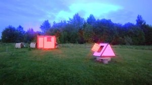 05.06.22 Пение птиц ранним утром на урочище Новые Буреги ,июнь.