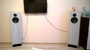 Тест звучания двухполосной напольной акустики Visaton W170s 4 Ома. Трек Sky "Westway"