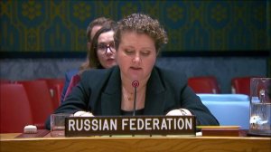 Statement by DPR Anna Evstigneeva at a UNSC briefing on the situation in the Great Lakes region