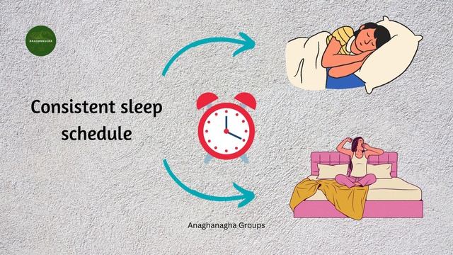 Power of 8+8+8 Rule🌟 | Learn time management⏰ | смотреть онлайн