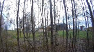 16.10.23 Лень моя вторая натура.