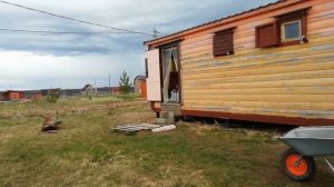 23 апреля удобряем садовые растения.