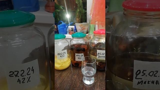 Ожидания и жестокая реальность. Кальвадос под вопросом, настойки ждут до 8го марта.