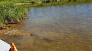 Рыбалка на трофейного хариуса на Полярном Урале в Воркуте тел.89129514111