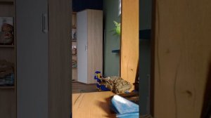 разрушена машина из игры Drive X car crash Simulator