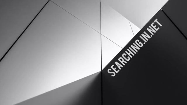 SEARCHING.IN.NET смотреть онлайн