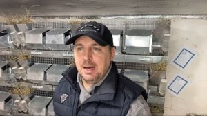 ВЫСТАВКА ШИНШИЛЛ В МОСКВЕ | СЕЛЬСКОЕ ХОЗЯЙСТВО