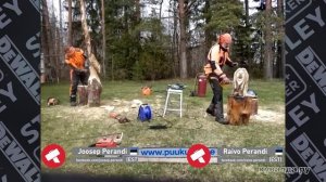 Первый ON-LINE международный чемпионат по SPEED CARVING