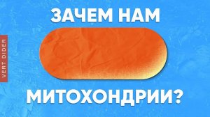 Зачем нам митохондрии