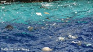 Видеолекция «Бионика. Решение технических вопросов с помощью природы»