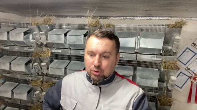 ДЕФИЦИТ МЕХА В РОССИИ | СЕЛЬСКОЕ ХОЗЯЙСТВО смотреть онлайн