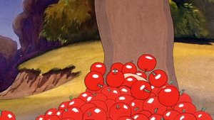 01.Chestnyi.fotoapparat.Elmera