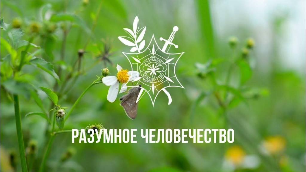 Разумное Человечество На YouTube