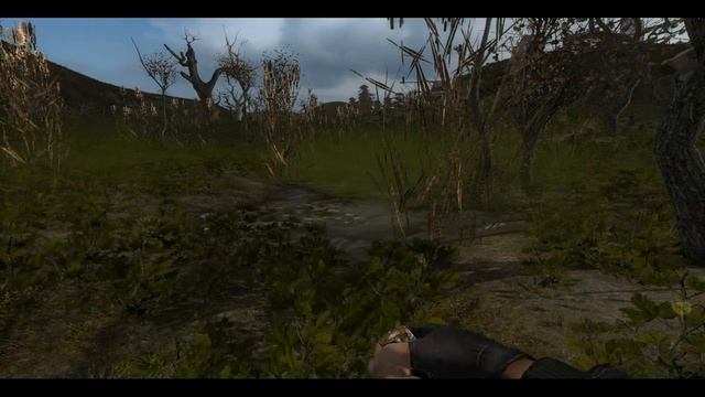 NLC 6 прохождение дилетантом 14 смотреть онлайн