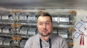 ПРОДАЮ ЛУЧШИХ САМЦОВ | СЕЛЬСКОЕ ХОЗЯЙСТВО | САМОЕ ВЫГОДНОЕ ЖИВОТНОВОДСТВО