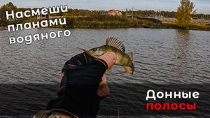 Кто рано не встает - ловит окуней. Непривычная рыбалка днем