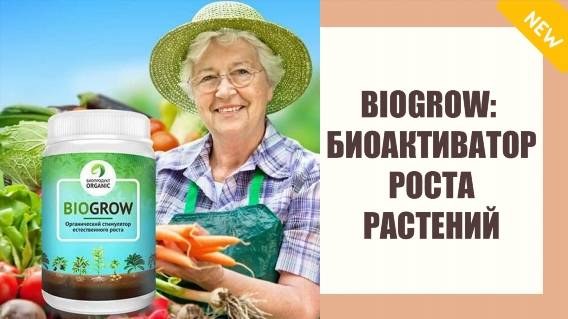 Милкины побасенки