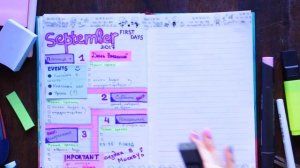 ЗАПОЛНЯЕМ ЕЖЕДНЕВНИК К ШКОЛЕ || КАК Я ВЕДУ ЕЖЕДНЕВНИК? 2017