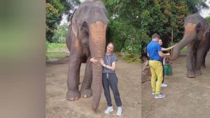 Слоновий питомник Пиннавела и гора Сигирия на Шри-Ланке.