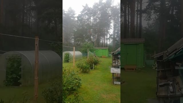 Туманы удивляют.