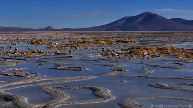 Прекрасная планета смотреть онлайн