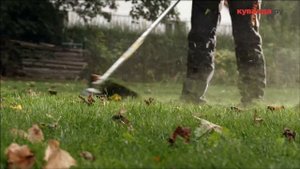 ТРИММЕРЫ И МОТОКОСЫ STIHL