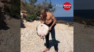 Рыба мечты.