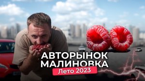 Авторынок Малиновка. Нас ОБМАНУЛИ! "Перекупы смотали пробег"