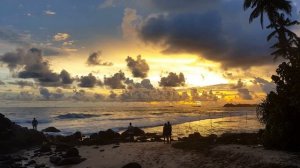 остров Шри-Ланка, живая картина заката