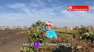 Садовый центр Веры Глуховой продлил еще на неделю онлайн-продажи