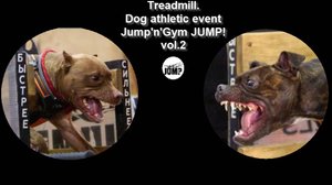 Дисциплина Treadmill (беговая дорожка) на пит-стафф многоборье Jump'n'Gym JUMP! vol.2
