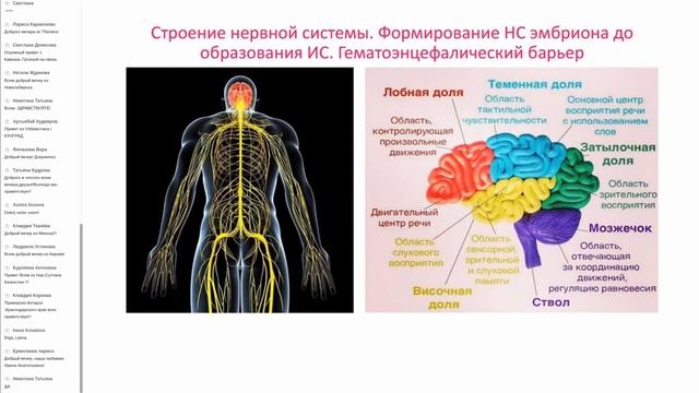 Магия Мозга часть 1