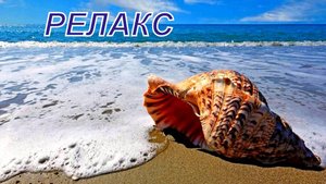 Релакс. Красивая Мелодия Пальмы Море Корабли Рыбки - 60 минут релаксации.