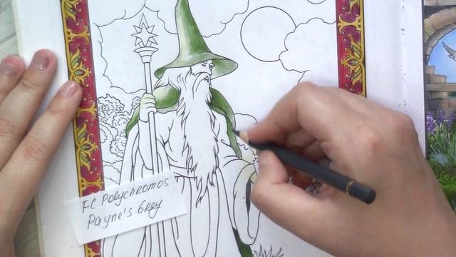 Wizard with birds. Part 1 #Coloring in 'Wondrous Wizards' by M.Noble #adultcoloring #soucolor смотреть онлайн