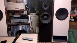 Полуторополосная акустика закрытый ящик широкополосник Ноэма 100гдш65 и нч ноэма 300гдн39