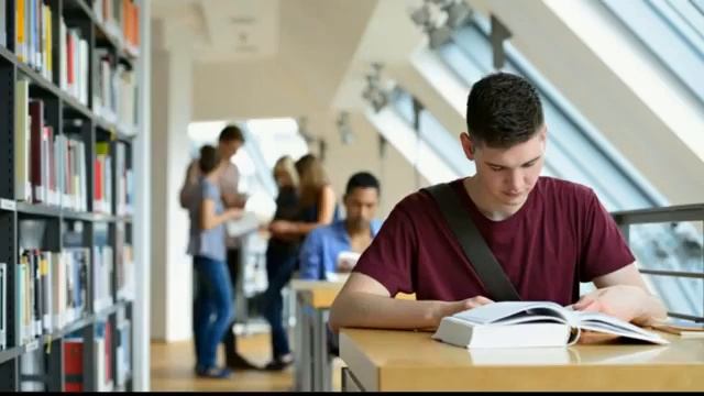 Семейный бюджет 40 секретов денег от Бодо Шефера смотреть онлайн